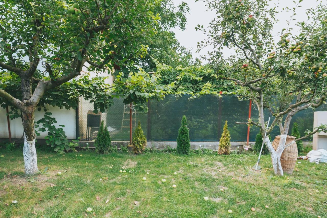 Casa Vinco Vici Hotel ทูร์ดา ภายนอก รูปภาพ
