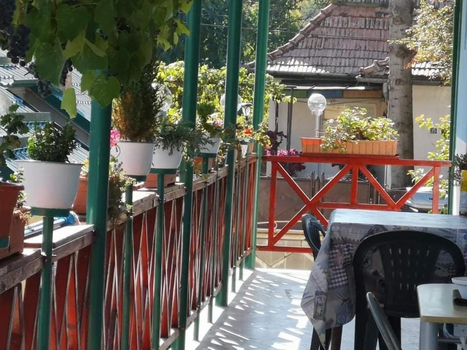 Casa Vinco Vici Hotel ทูร์ดา ภายนอก รูปภาพ