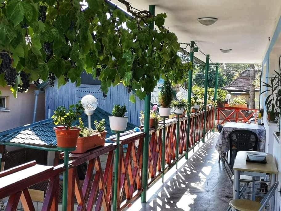 Casa Vinco Vici Hotel ทูร์ดา ภายนอก รูปภาพ